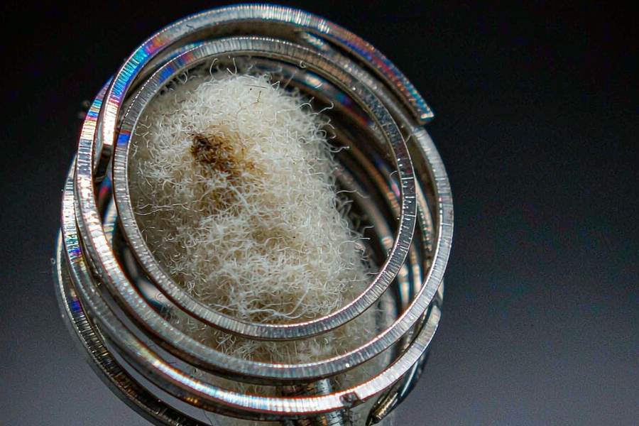 B2B Supply of Beipu in Japan — EU stock