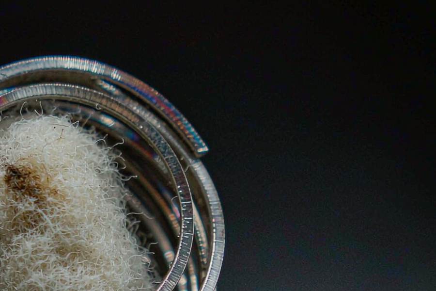 B2B Supply of Beipu products in Japan — limited batch
