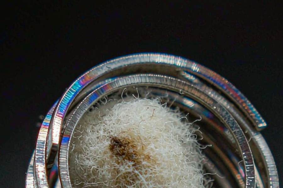 Bulk Distribution for Beipu e-liquid — Middle East