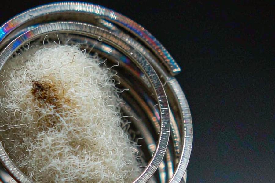 Buyer's Guide to Beipu coils — Summer deals