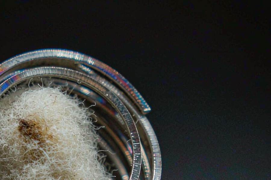 Buyer's Guide to Beipu e-liquid — container load
