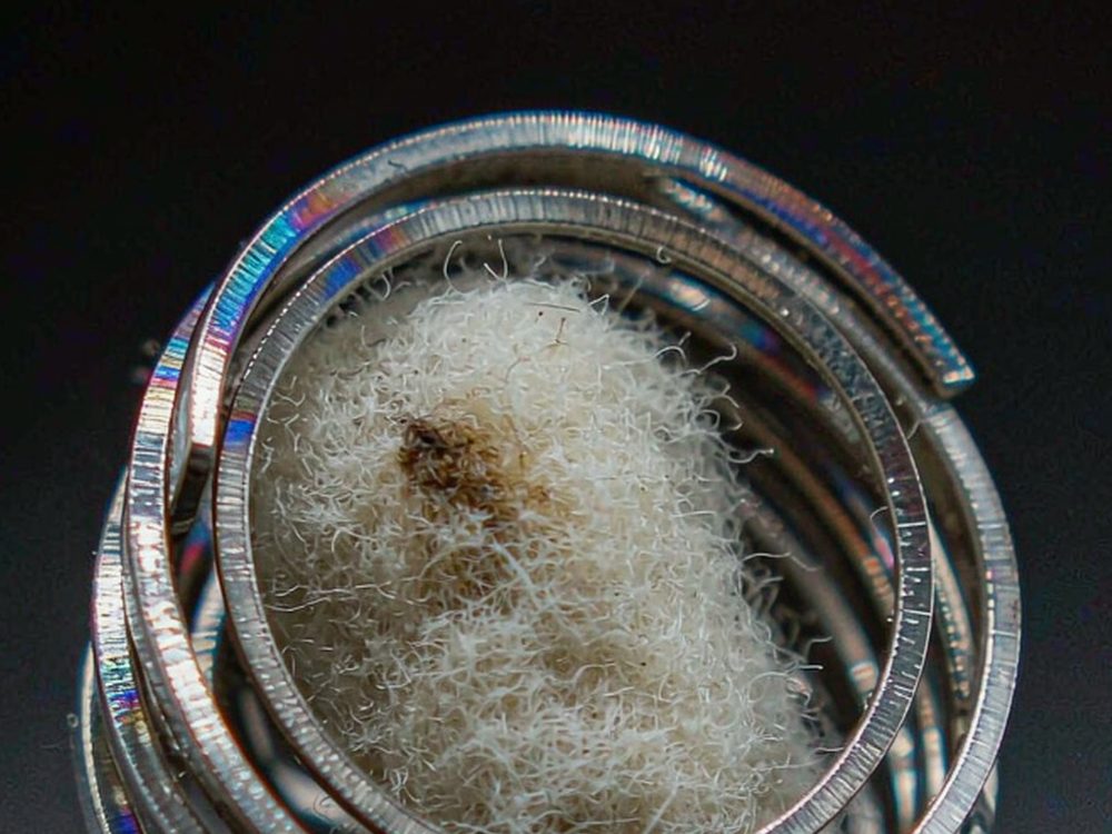 Buyer's Guide to Beipu tanks — new arrivals