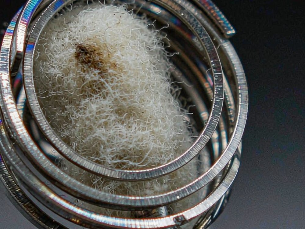 Case Study: Beipu coils — new arrivals