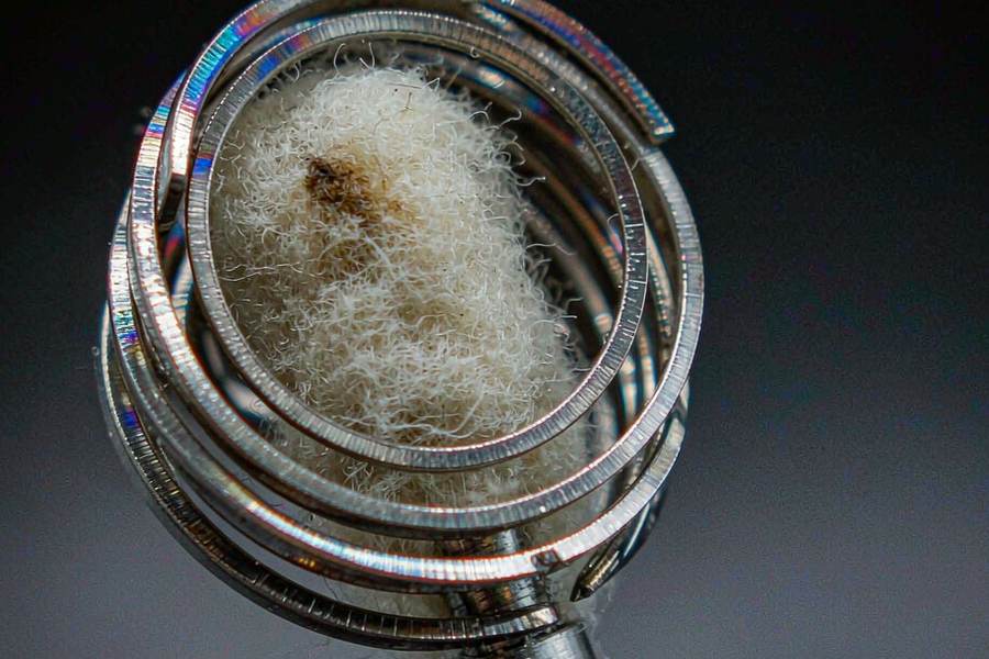 Case Study: Beipu coils — small parcel