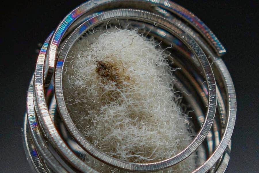 Device Catalog for Beipu coils — Winter special