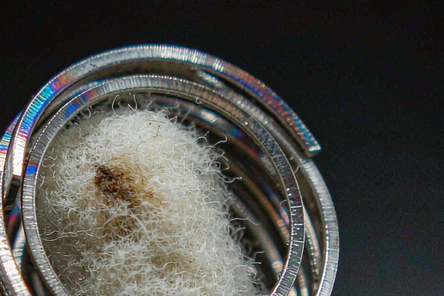 Flavor Catalog of Beipu coils — container load