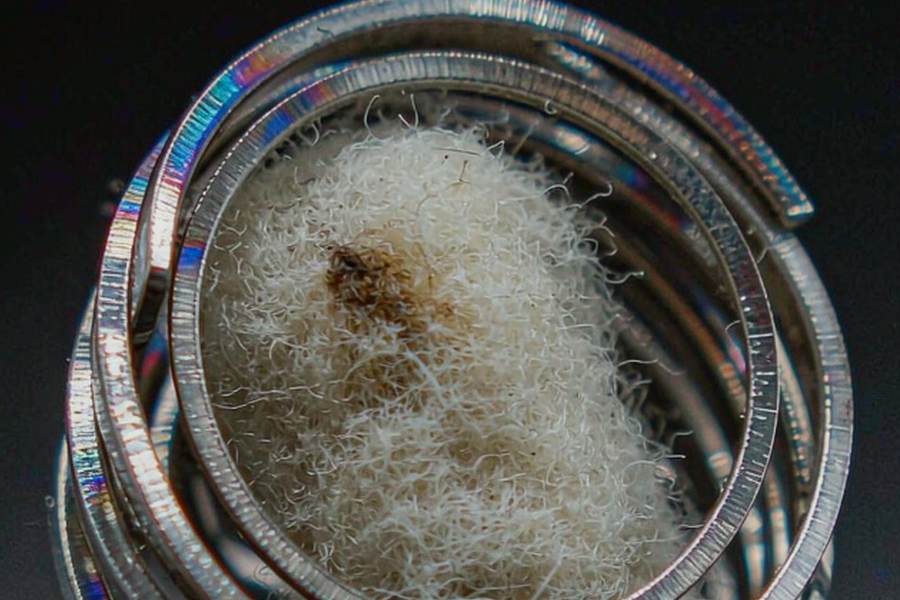 Glossary of Beipu e-liquid — OEM available