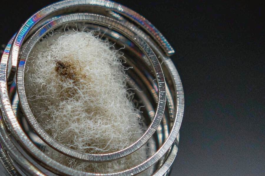How to Store Beipu pods — Autumn stock
