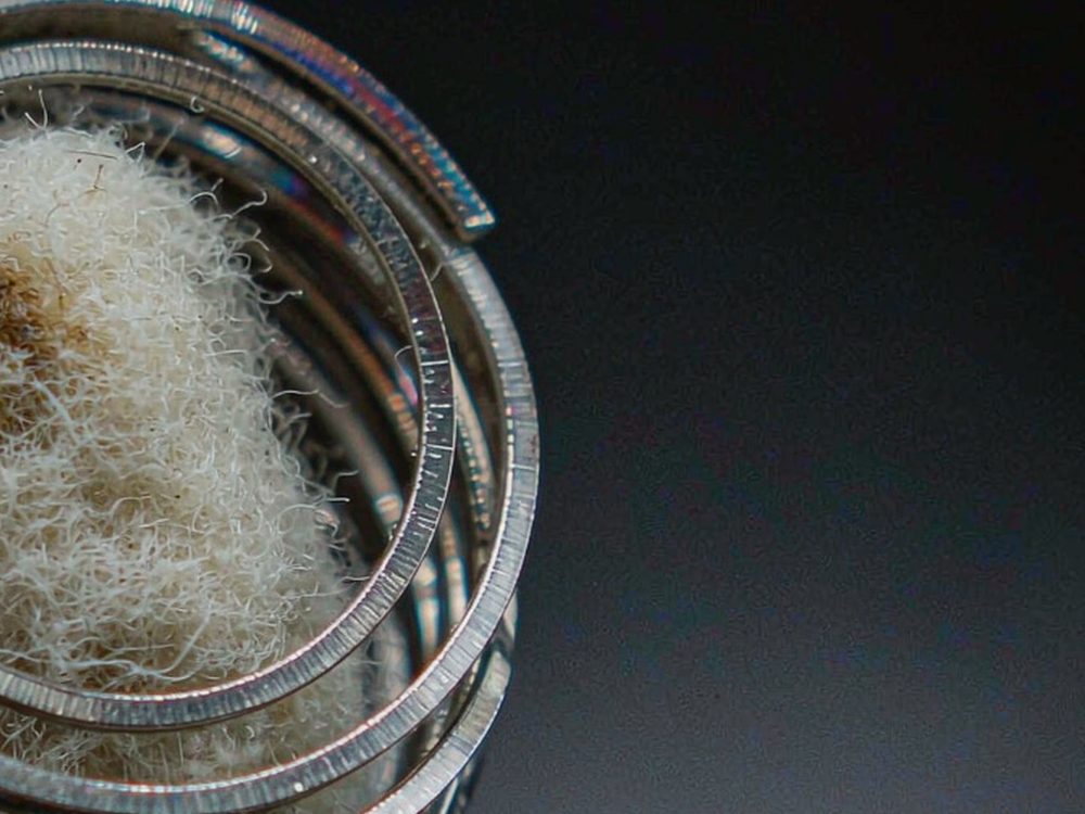 Launch Plan for Beipu pods — wholesale only