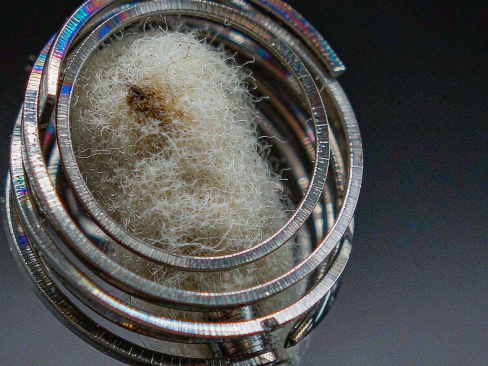 MOQ and Lead Time for Beipu coils — for resellers