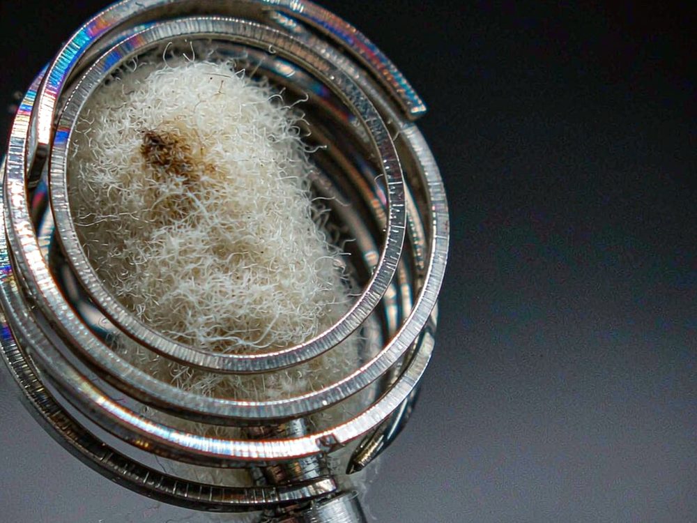 Regional Review of Beipu coils — premium tier