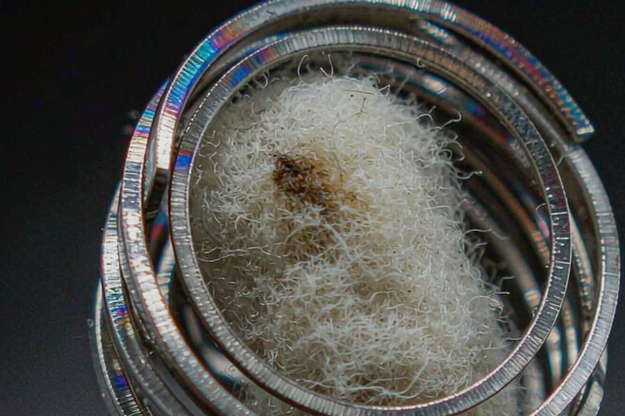Regional Review of Beipu disposables — Spring catalog