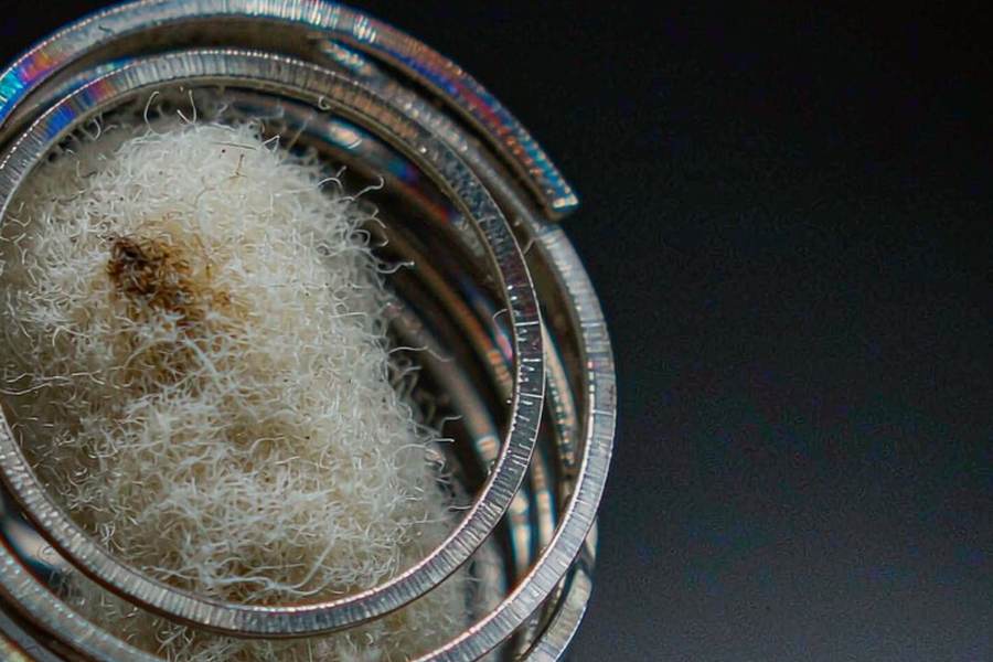 Reseller Guide to Beipu pods — Spring catalog