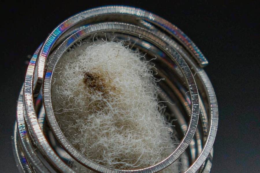 Shipping Guide for Beipu coils — ODM ready