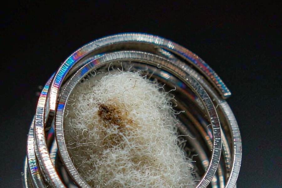 Sourcing Report on Beipu disposables — Spring catalog
