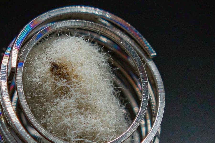 Sourcing Report on Beipu kits — bulk case