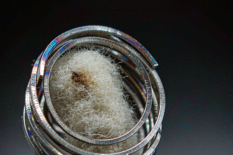 Sourcing Report on Beipu pods — Spring catalog
