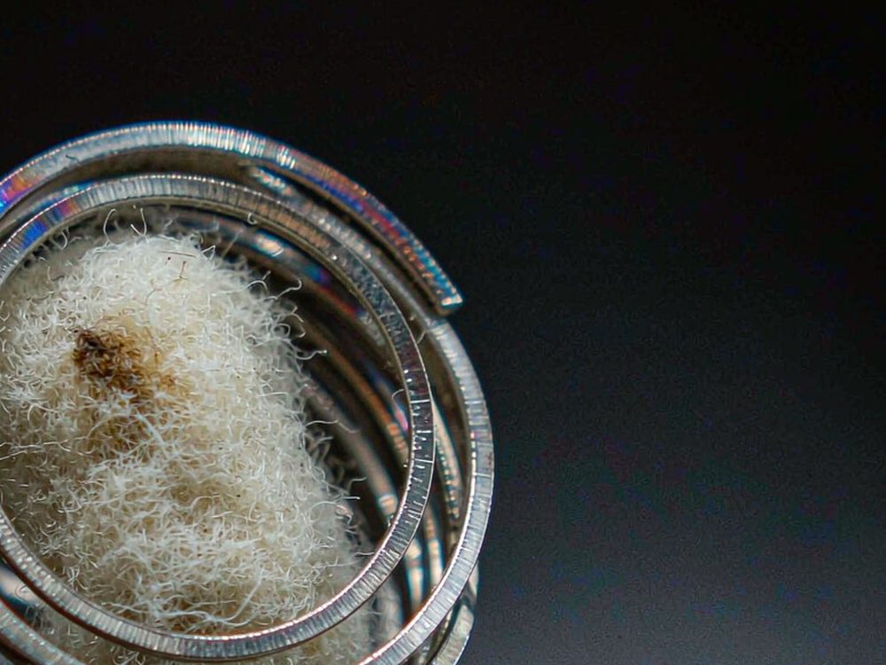 Sourcing Report on Beipu pods — top rated