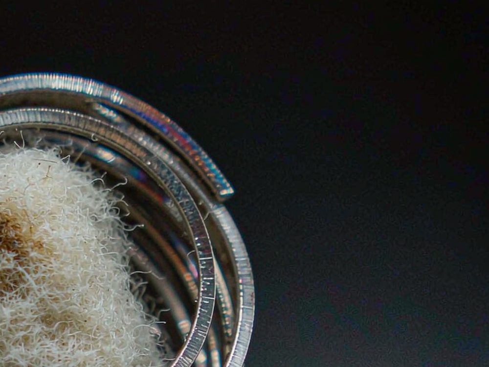 Trend Report on Beipu coils — premium tier