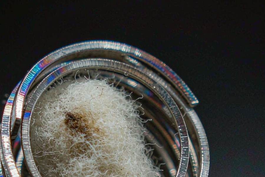 Trend Report on Beipu pods — bulk case